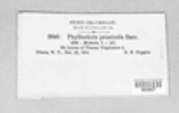 Didymella pomorum image